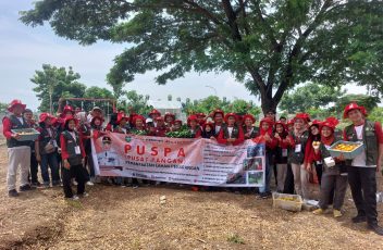 DKPP4